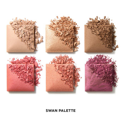 Ambient Lighting Edit Unlocked Swan - Yüz Paleti
